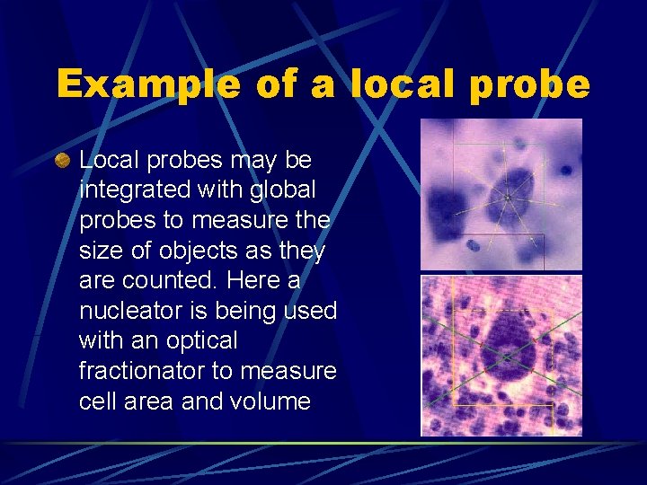 Example of a local probe Local probes may be integrated with global probes to