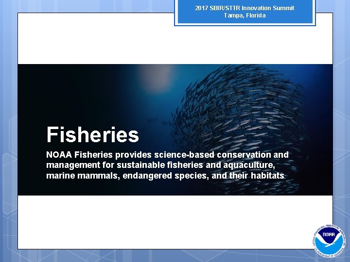 2017 SBIR/STTR Innovation Summit Tampa, Florida Fisheries NOAA Fisheries provides science-based conservation and management