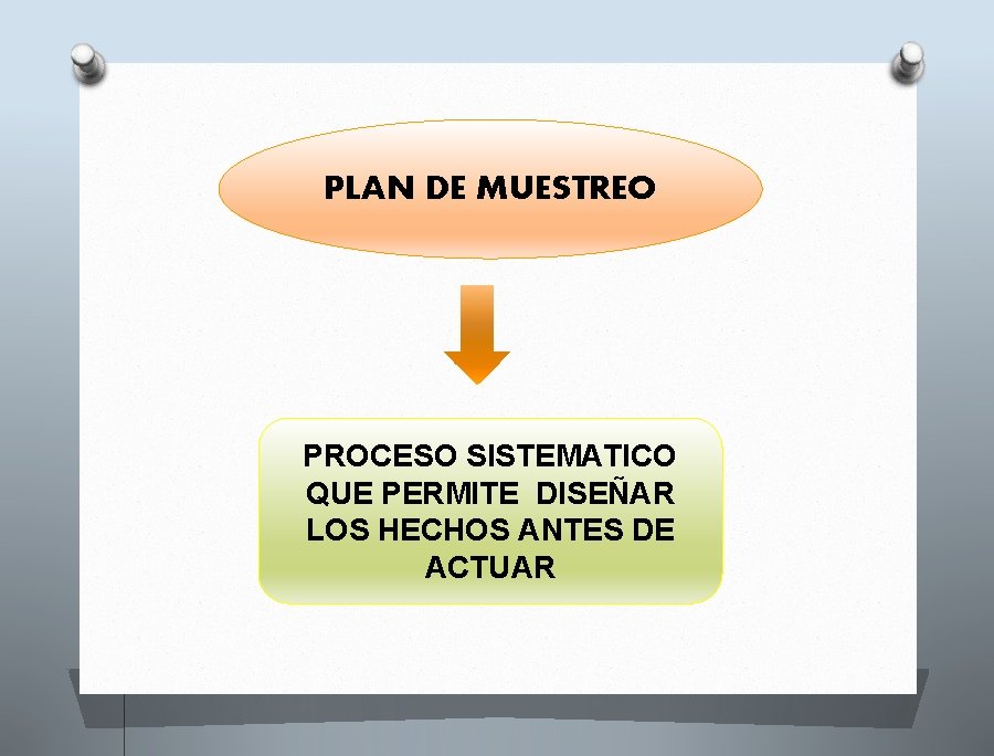 PLAN DE MUESTREO PROCESO SISTEMATICO QUE PERMITE DISEÑAR LOS HECHOS ANTES DE ACTUAR 