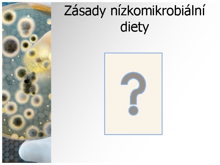 Zásady nízkomikrobiální diety 