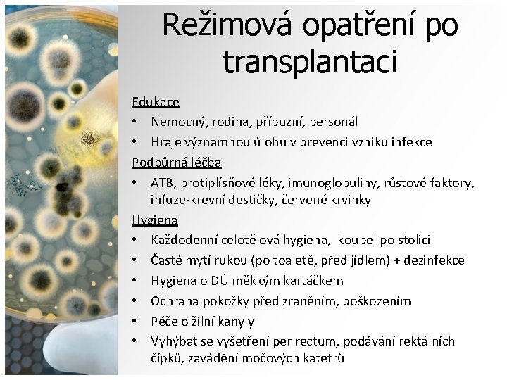 Režimová opatření po transplantaci Edukace • Nemocný, rodina, příbuzní, personál • Hraje významnou úlohu