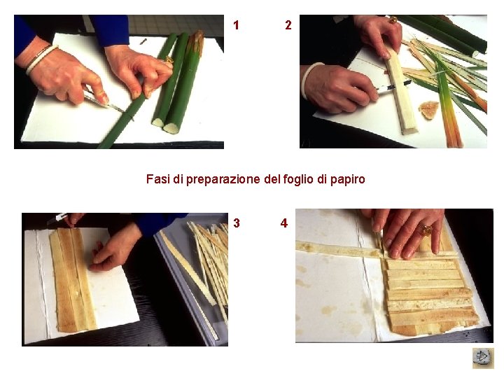1 2 Fasi di preparazione del foglio di papiro 3 4 