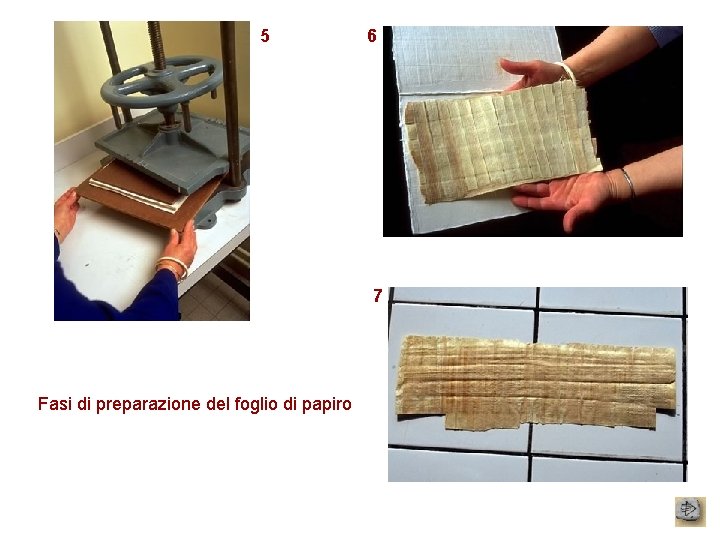5 6 7 Fasi di preparazione del foglio di papiro 