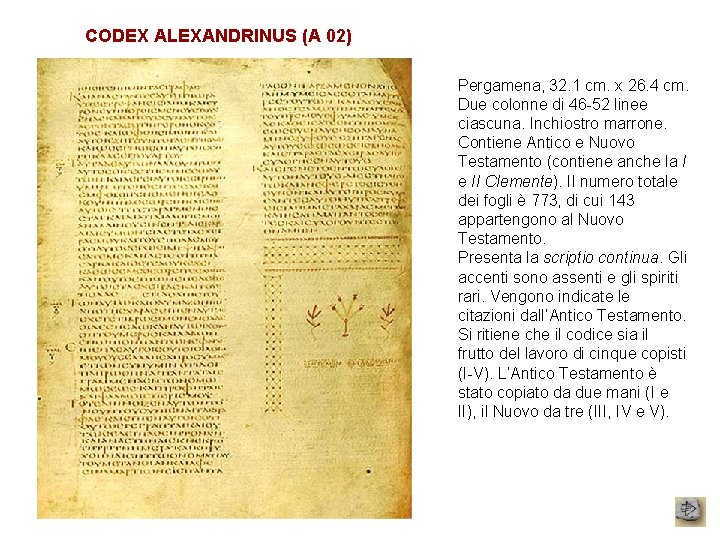 CODEX ALEXANDRINUS (A 02) Pergamena, 32. 1 cm. x 26. 4 cm. Due colonne