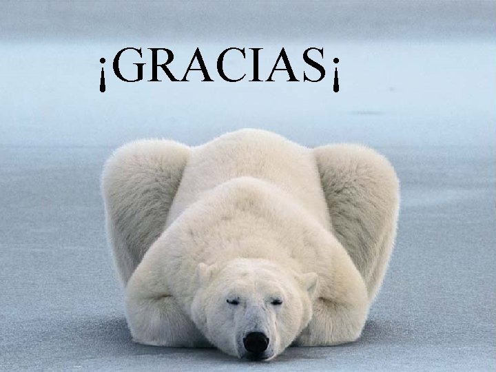 ¡GRACIAS¡ 