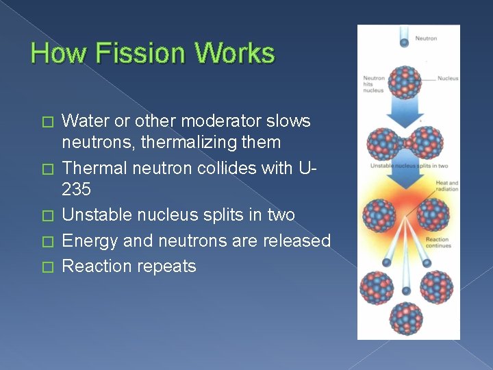 How Fission Works � � � Water or other moderator slows neutrons, thermalizing them