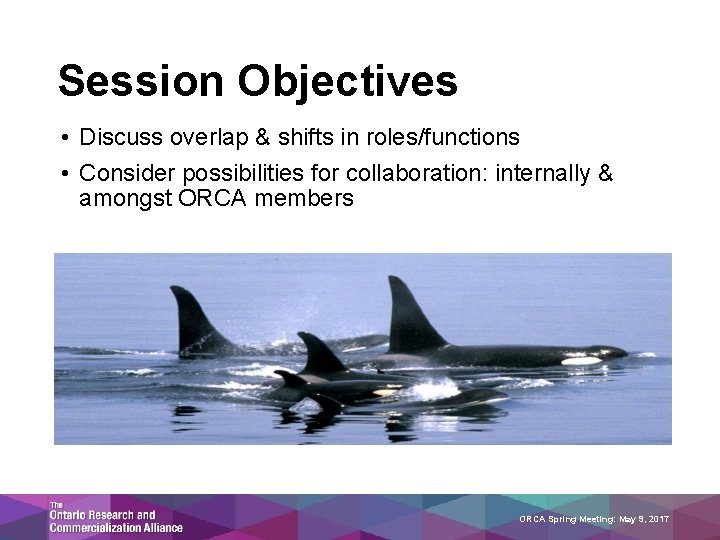 Session Objectives • Discuss overlap & shifts in roles/functions • Consider possibilities for collaboration: