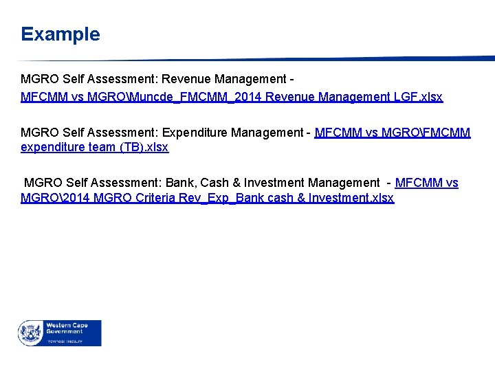 Example MGRO Self Assessment: Revenue Management MFCMM vs MGROMuncde_FMCMM_2014 Revenue Management LGF. xlsx MGRO