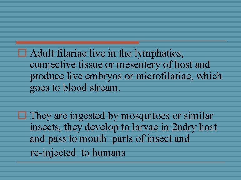 o Adult filariae live in the lymphatics, connective tissue or mesentery of host and