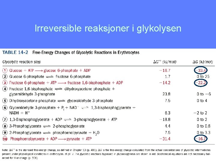 Irreversible reaksjoner i glykolysen 