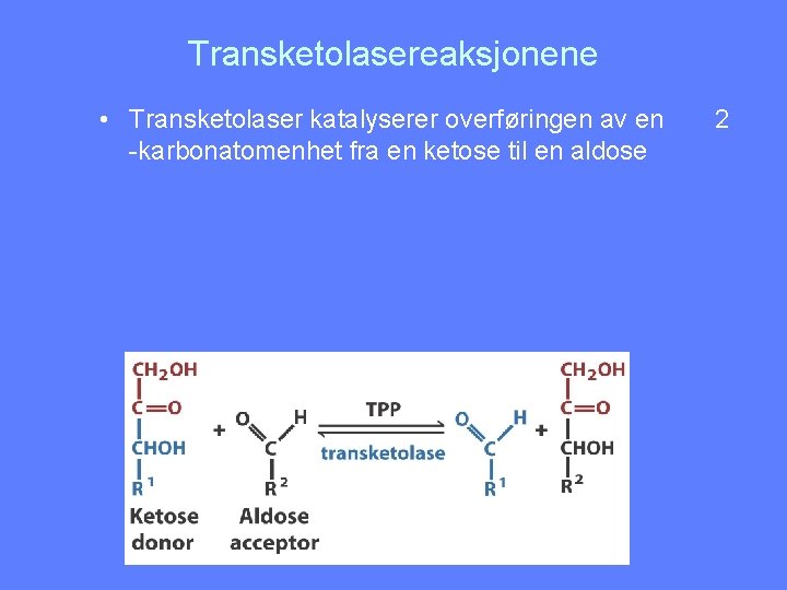 Transketolasereaksjonene • Transketolaser katalyserer overføringen av en -karbonatomenhet fra en ketose til en aldose