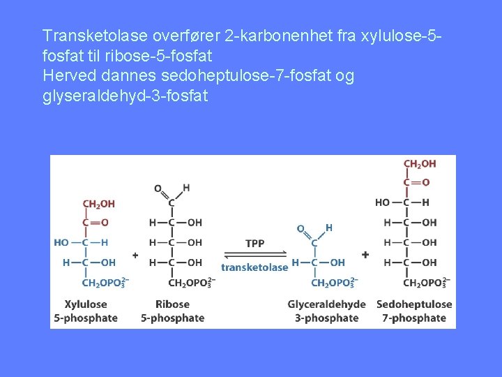 Transketolase overfører 2 -karbonenhet fra xylulose-5 fosfat til ribose-5 -fosfat Herved dannes sedoheptulose-7 -fosfat