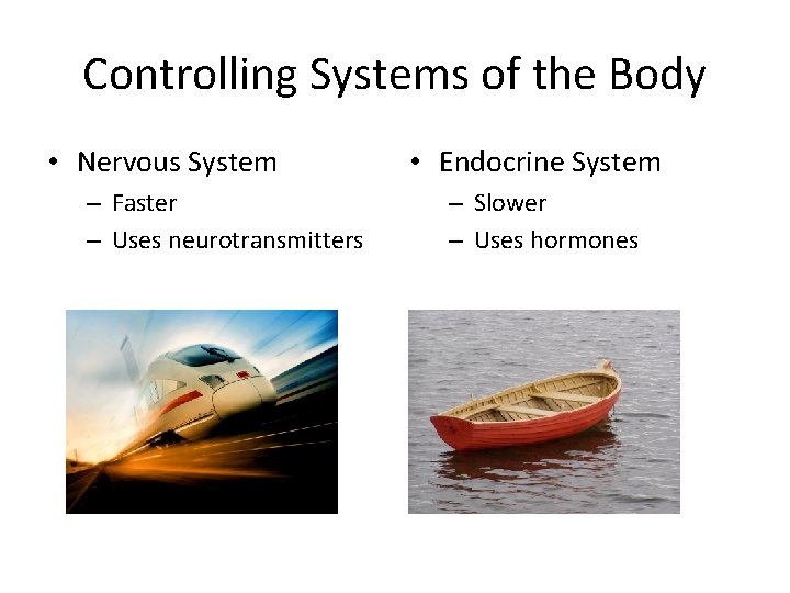 Controlling Systems of the Body • Nervous System – Faster – Uses neurotransmitters •