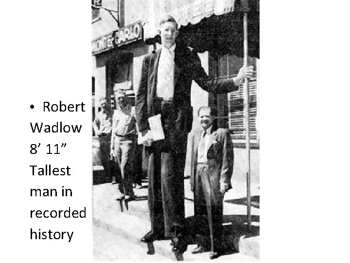  • Robert Wadlow 8’ 11” Tallest man in recorded history 