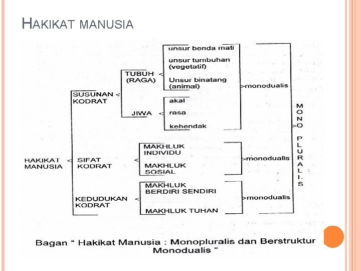 HAKIKAT MANUSIA 