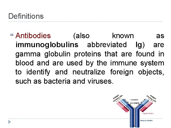 Definitions Antibodies (also known as immunoglobulins abbreviated Ig) are gamma globulin proteins that are