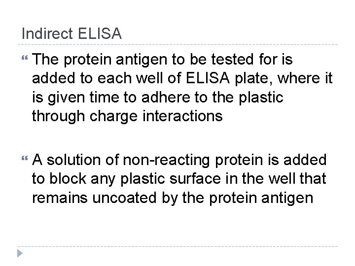 Indirect ELISA The protein antigen to be tested for is added to each well