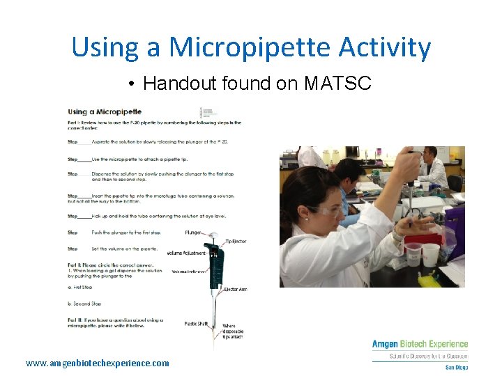 Using a Micropipette Activity • Handout found on MATSC www. amgenbiotechexperience. com 