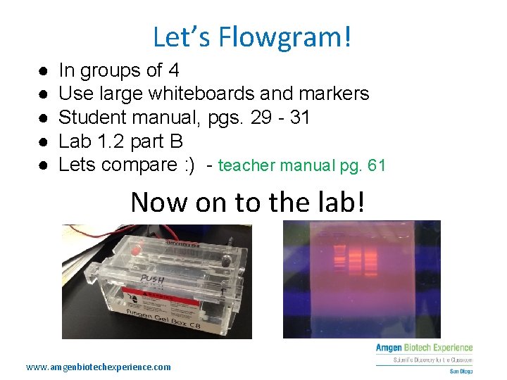 Let’s Flowgram! ● ● ● In groups of 4 Use large whiteboards and markers