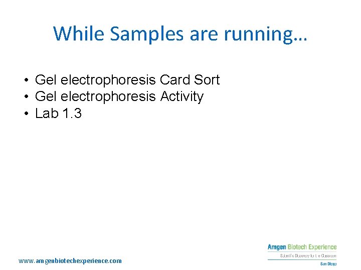While Samples are running… • Gel electrophoresis Card Sort • Gel electrophoresis Activity •