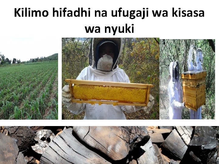 Kilimo hifadhi na ufugaji wa kisasa wa nyuki 