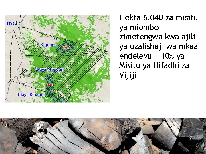 Hekta 6, 040 za misitu ya miombo zimetengwa kwa ajili ya uzalishaji wa mkaa