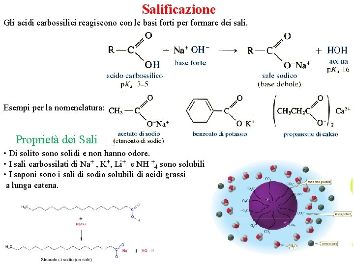 Salificazione Gli acidi carbossilici reagiscono con le basi forti per formare dei sali. Esempi