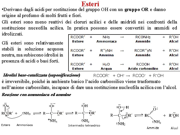 Esteri • Derivano dagli acidi per sostituzione del gruppo OH con un gruppo OR