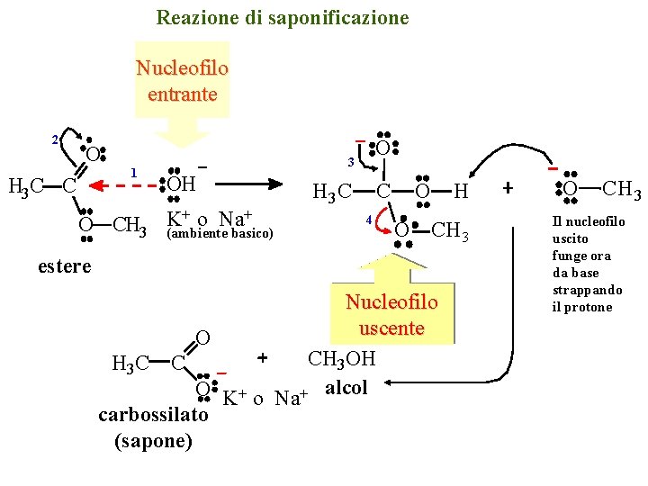 Reazione di saponificazione Nucleofilo entrante 2 O H 3 C C 1 O CH