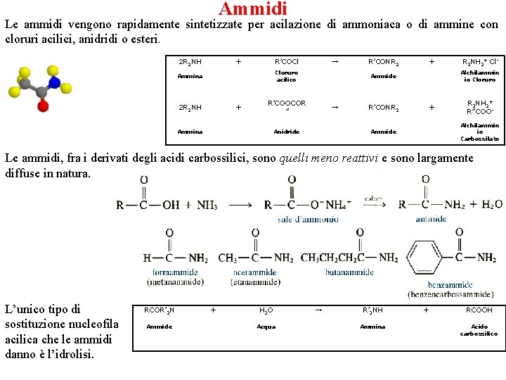 Ammidi Le ammidi vengono rapidamente sintetizzate per acilazione di ammoniaca o di ammine con