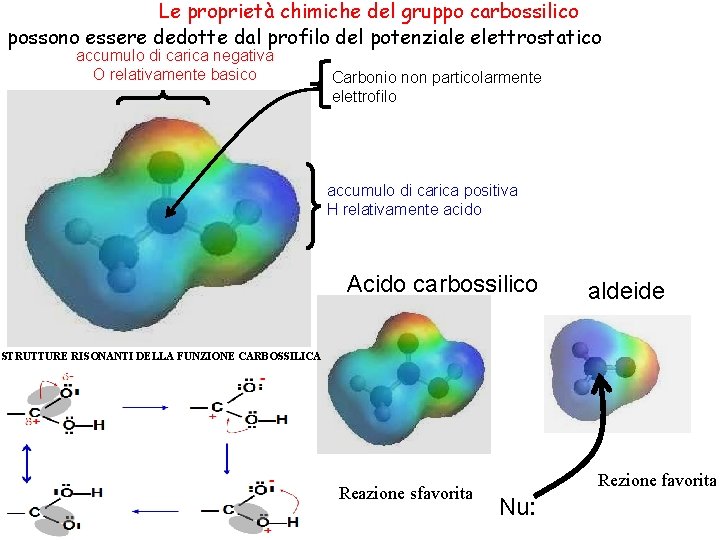 Le proprietà chimiche del gruppo carbossilico possono essere dedotte dal profilo del potenziale elettrostatico