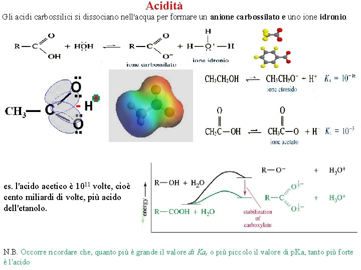 Acidità Gli acidi carbossilici si dissociano nell'acqua per formare un anione carbossilato e uno