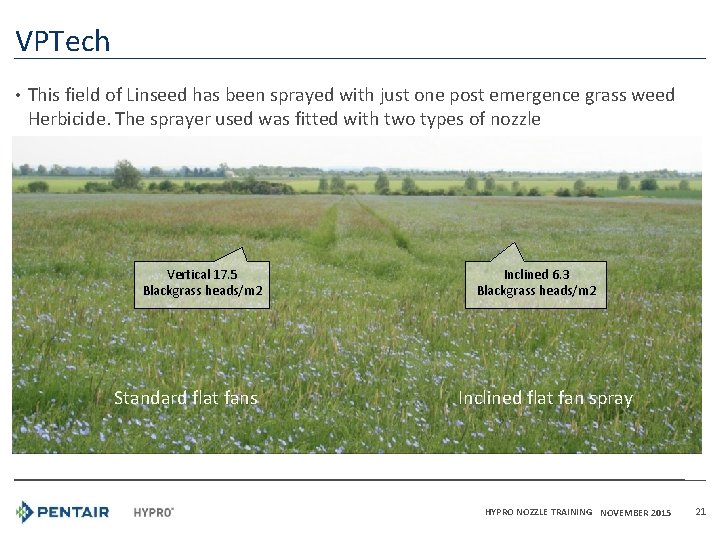 VPTech • This field of Linseed has been sprayed with just one post emergence