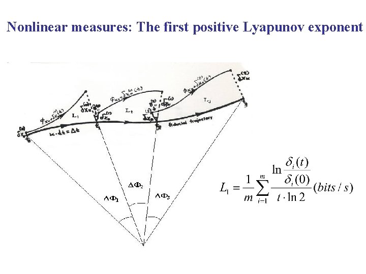 Nonlinear measures: The first positive Lyapunov exponent 