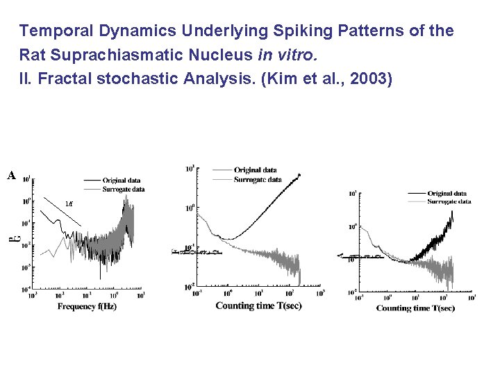 Temporal Dynamics Underlying Spiking Patterns of the Rat Suprachiasmatic Nucleus in vitro. II. Fractal