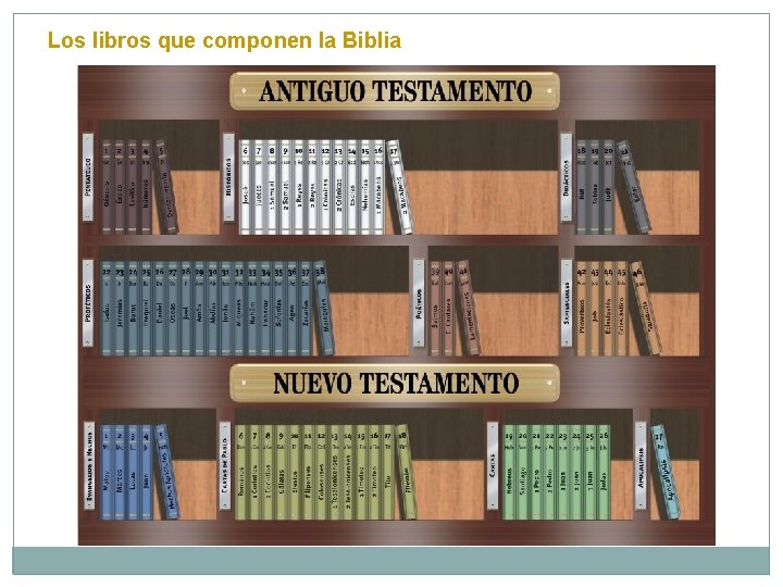 Los libros que componen la Biblia 