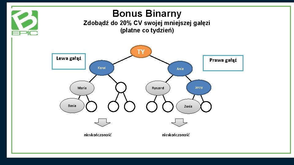 Bonus Binarny Zdobądź do 20% CV swojej mniejszej gałęzi (płatne co tydzień) TY Lewa