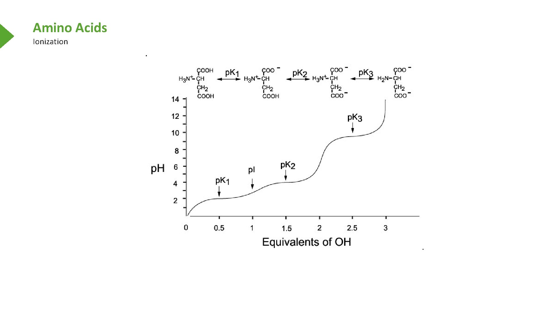 Amino Acids Ionization 