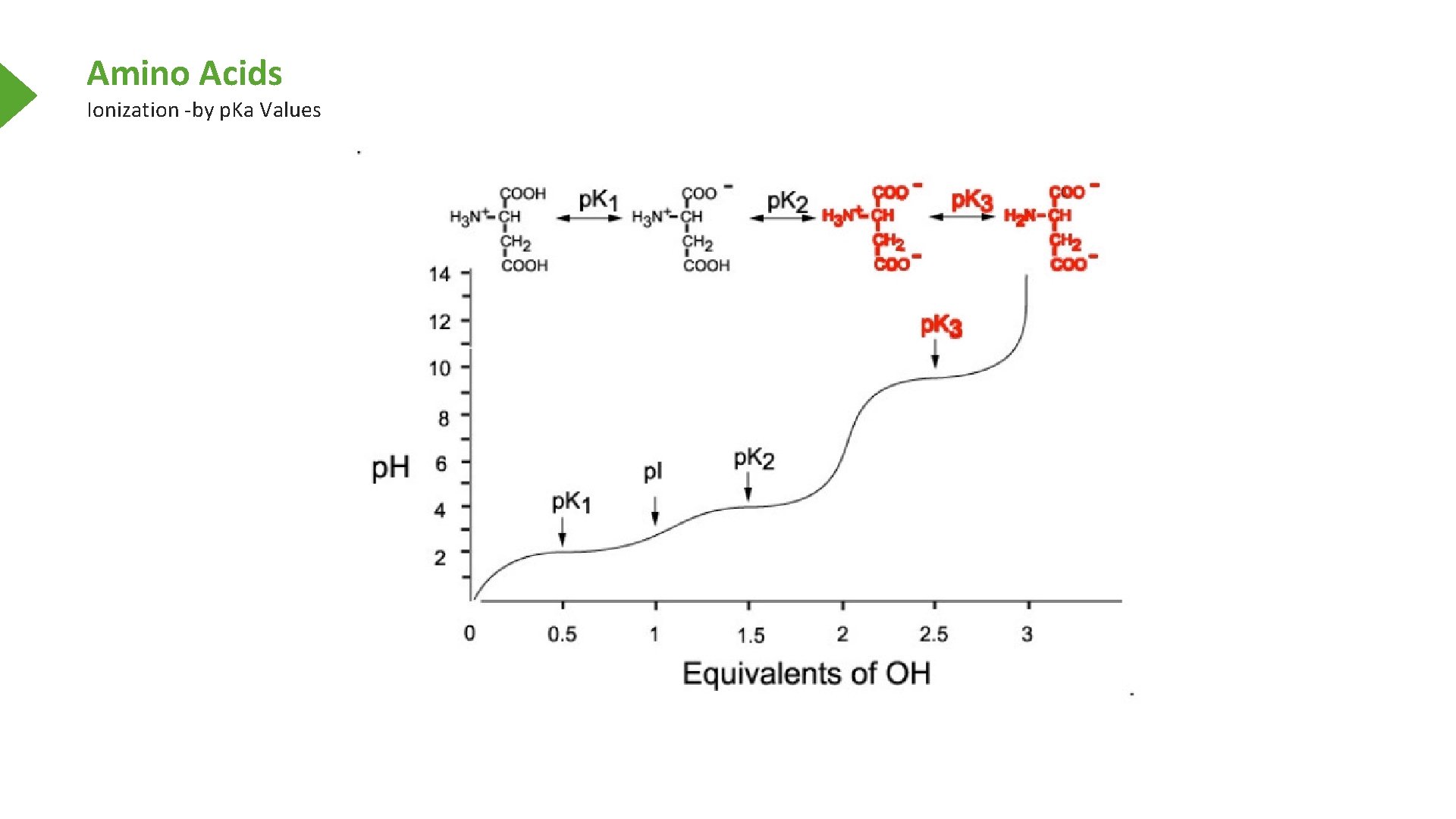 Amino Acids Ionization -by p. Ka Values 