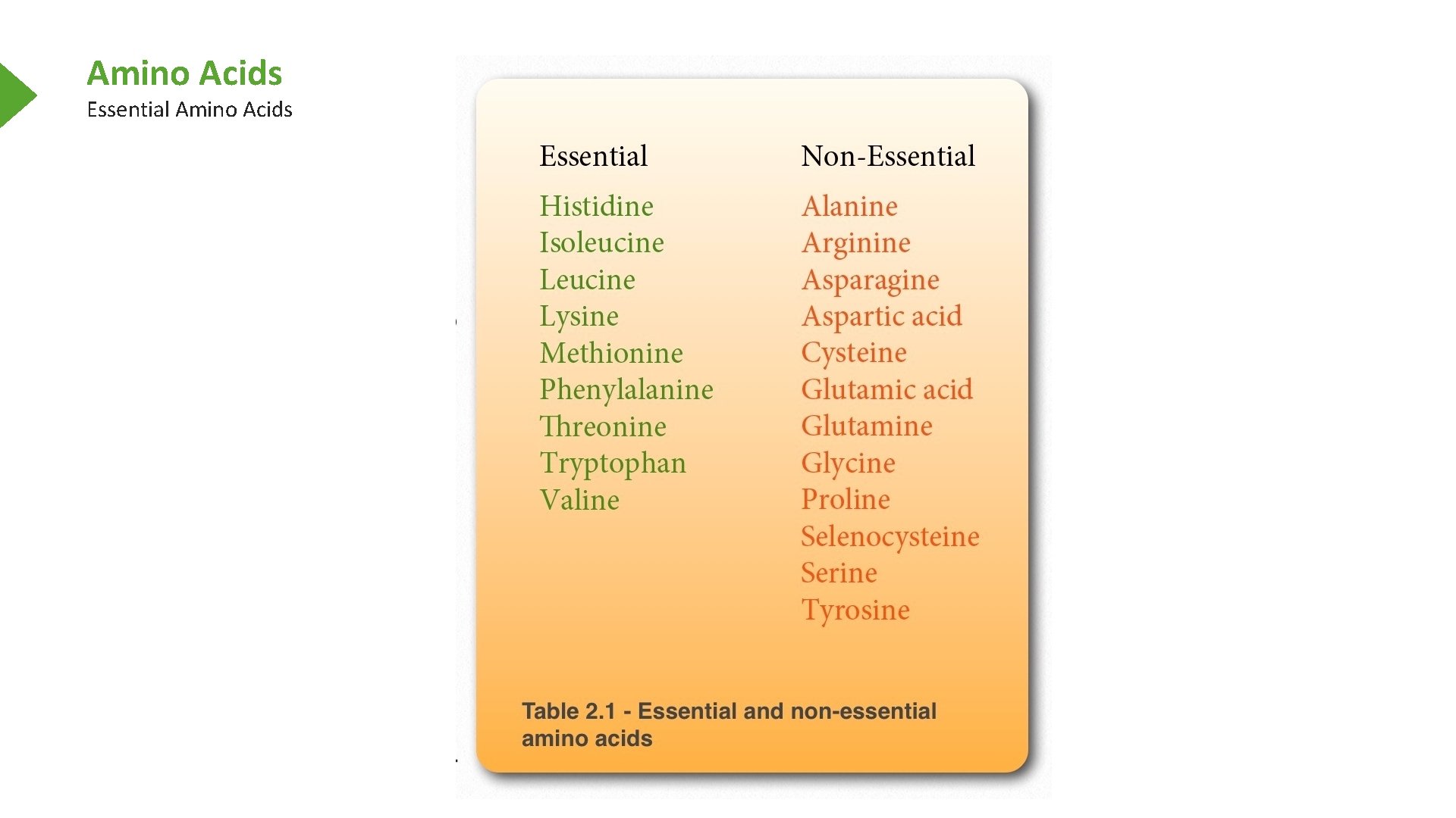 Amino Acids Essential Amino Acids 