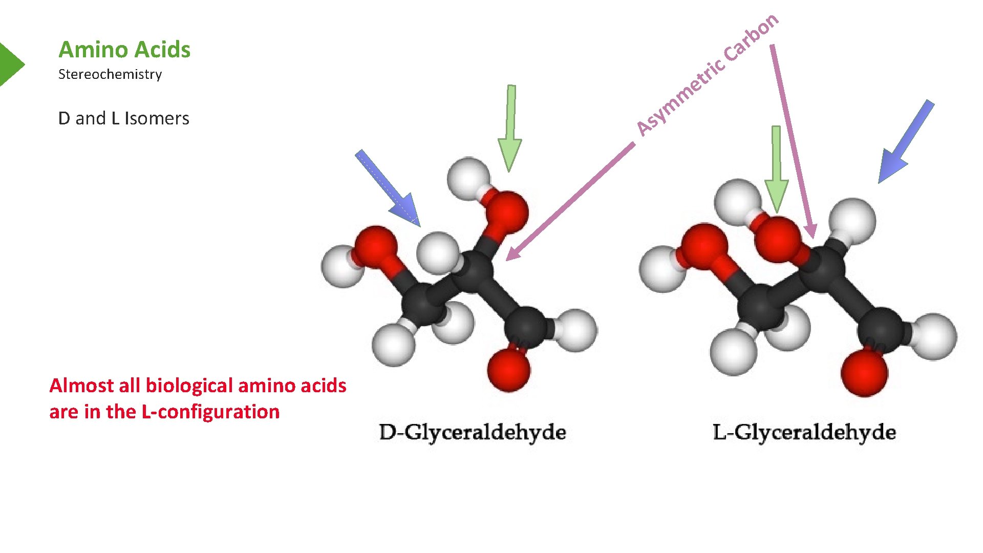 n o Amino Acids Stereochemistry D and L Isomers Almost all biological amino acids