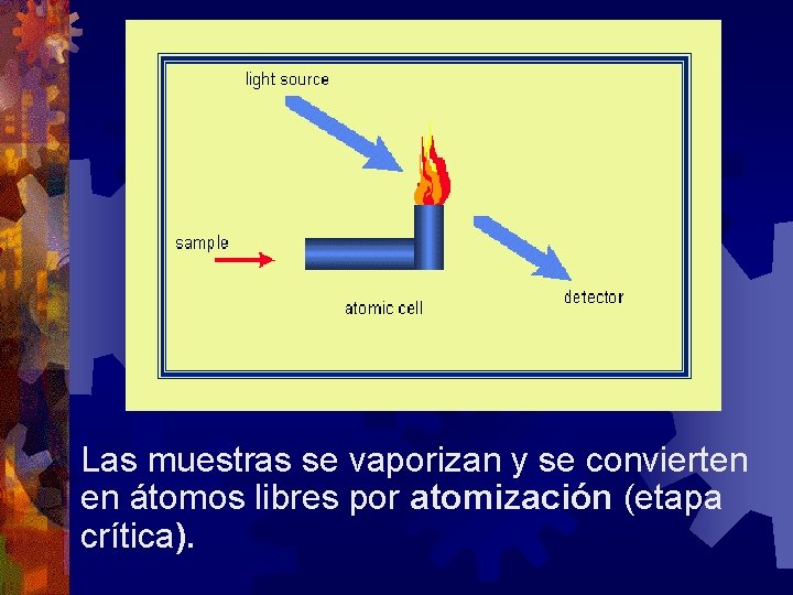 Las muestras se vaporizan y se convierten en átomos libres por atomización (etapa crítica).