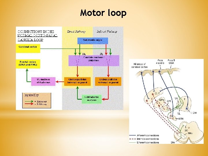 Motor loop Motor loop