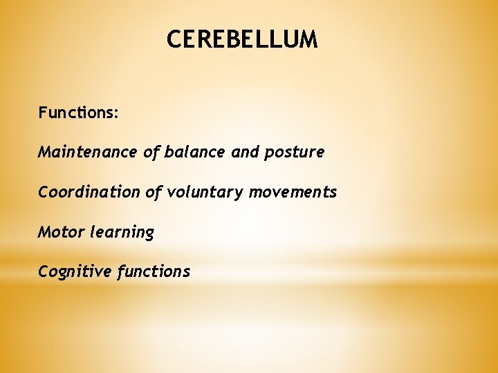 CEREBELLUM Functions: Maintenance of balance and posture Coordination of voluntary movements Motor learning Cognitive