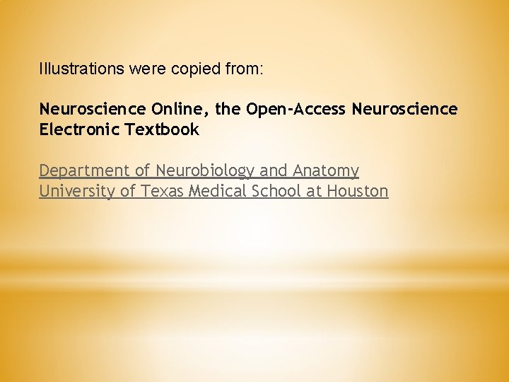 Illustrations were copied from: Neuroscience Online, the Open-Access Neuroscience Electronic Textbook Department of Neurobiology