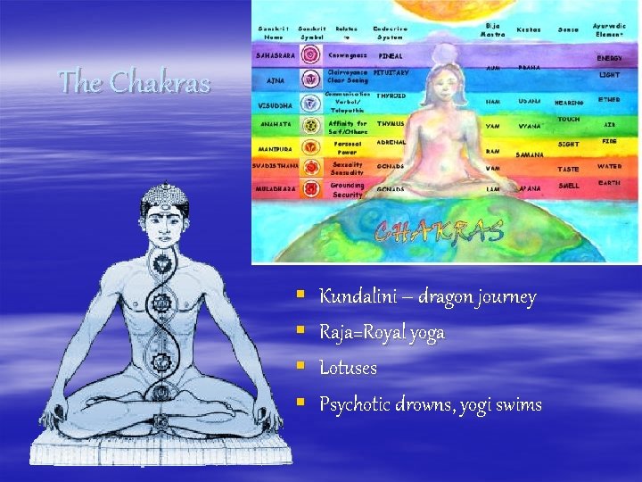 The Chakras § § Kundalini – dragon journey Raja=Royal yoga Lotuses Psychotic drowns, yogi