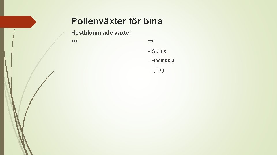 Pollenväxter för bina Höstblommade växter *** ** - Gullris - Höstfibbla - Ljung 