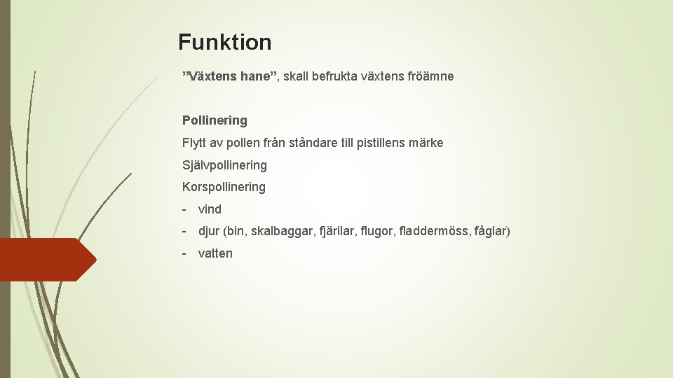 Funktion ”Växtens hane”, skall befrukta växtens fröämne Pollinering Flytt av pollen från ståndare till