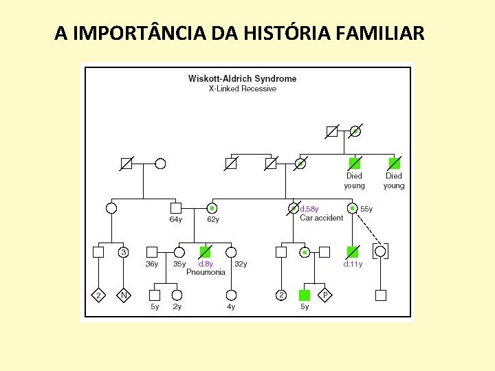 A IMPORT NCIA DA HISTÓRIA FAMILIAR 