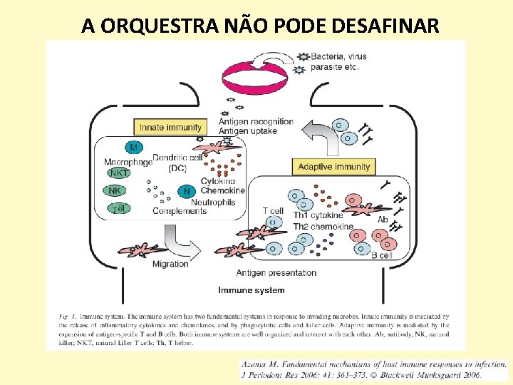 A ORQUESTRA NÃO PODE DESAFINAR 